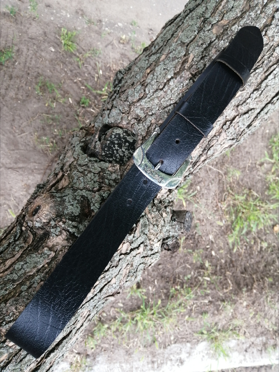 Фотографии автора 