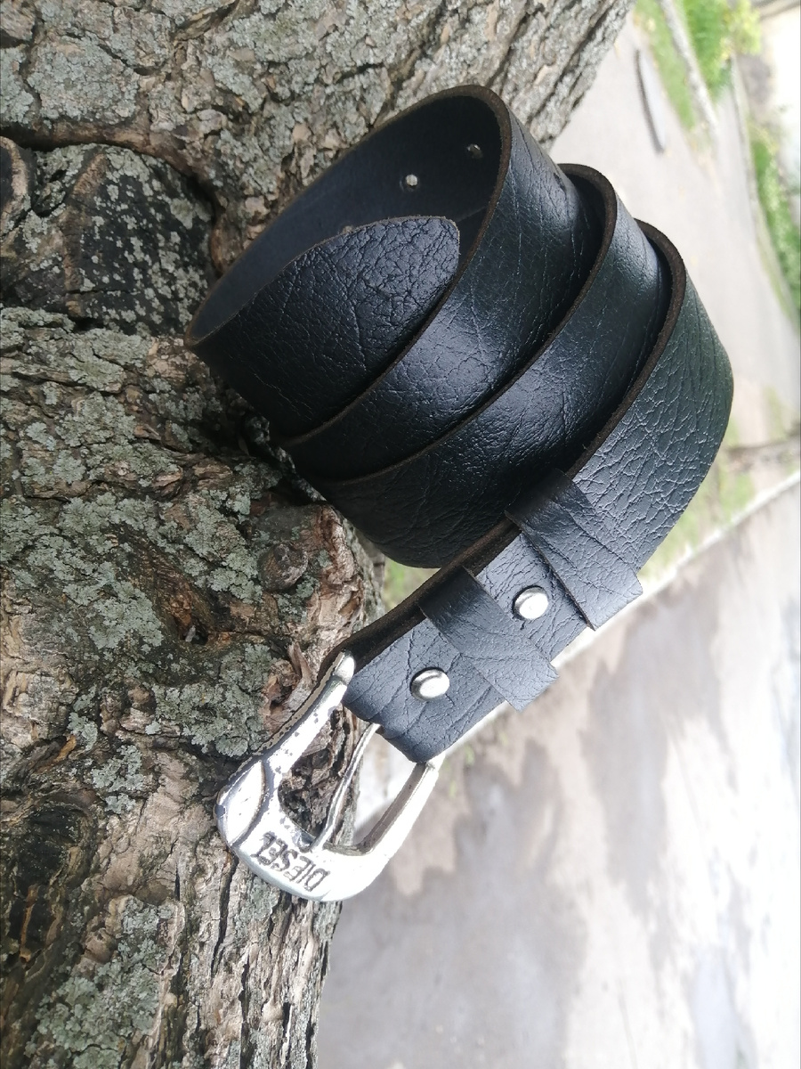 Фотографии автора 