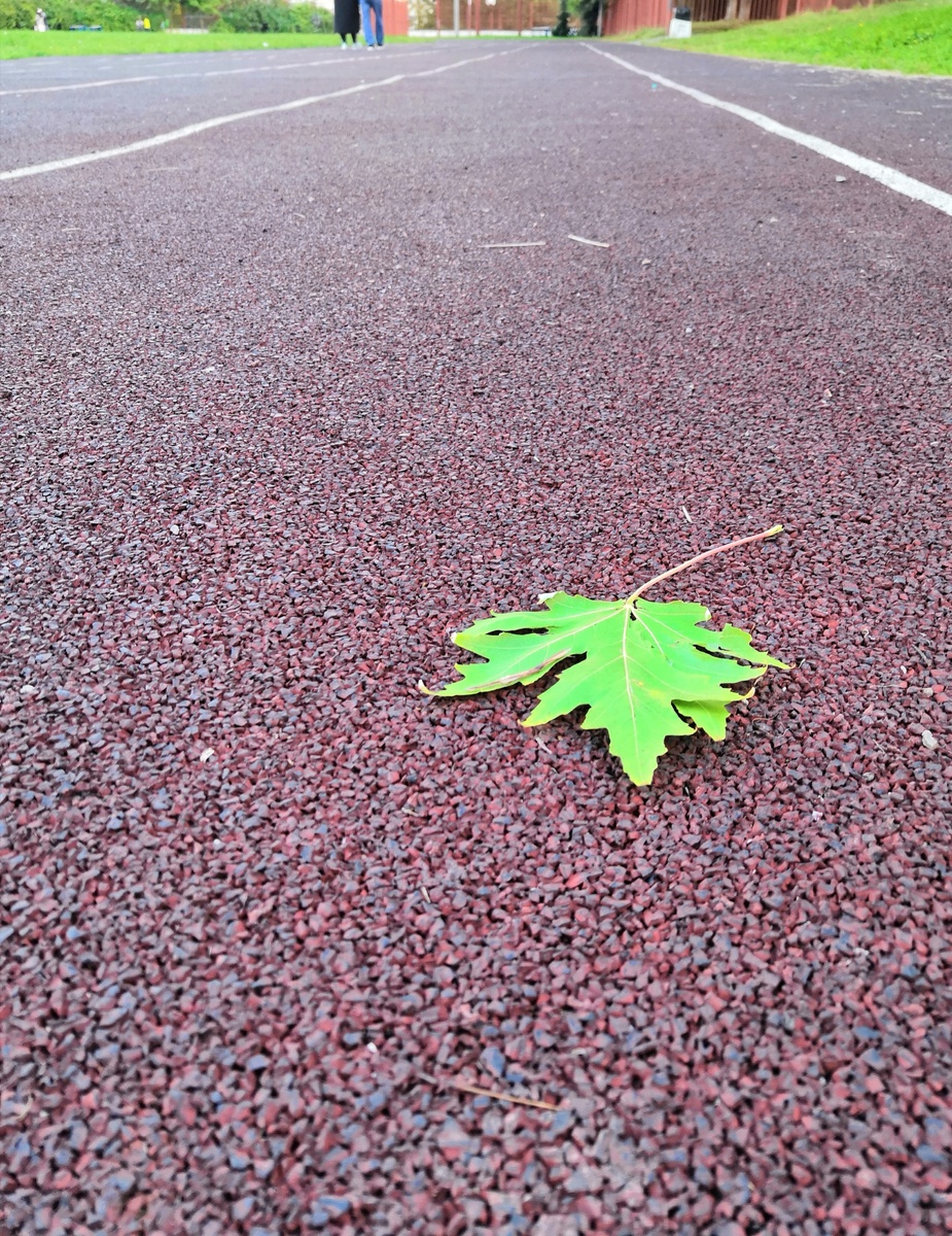 Моя фотография 