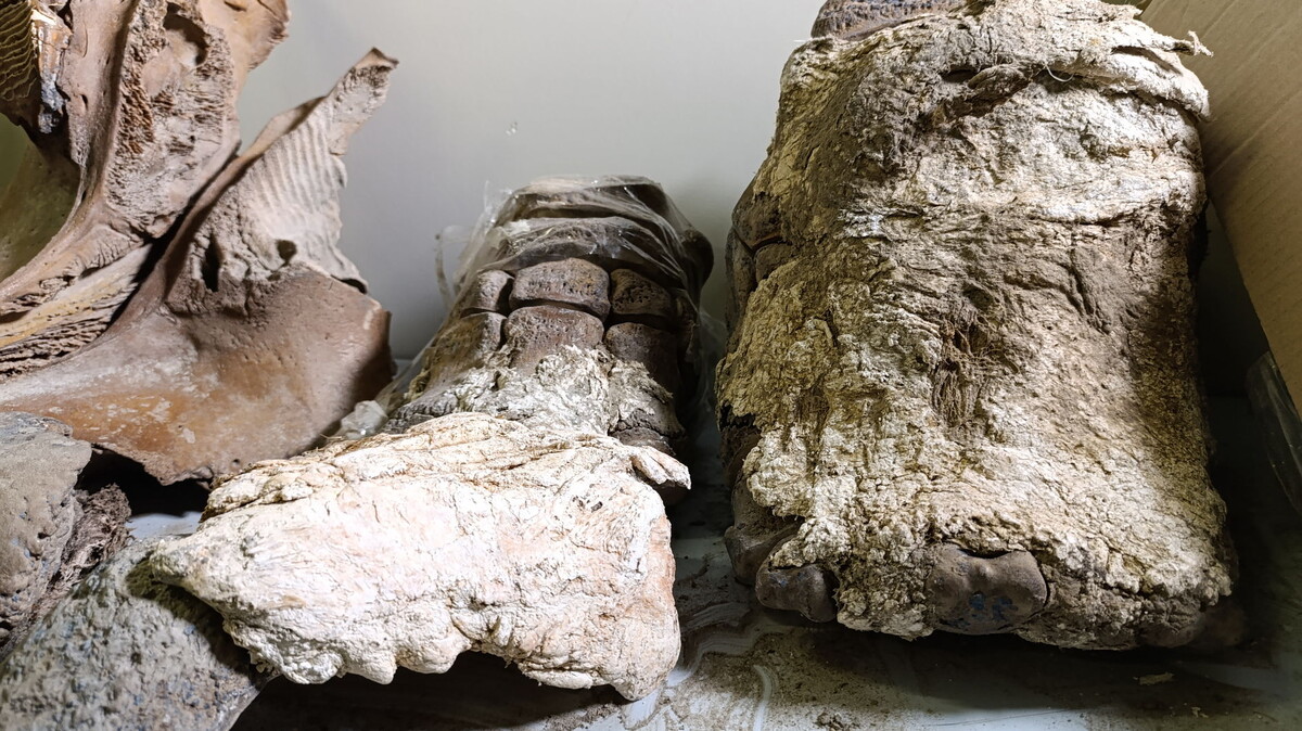 Фото: Валентин Юшкевич / GoArctic