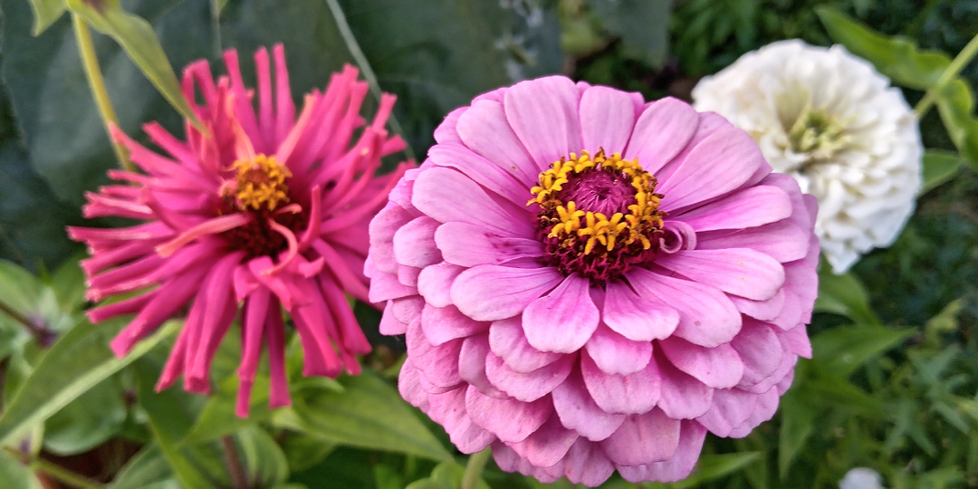 А у нас пока продолжается лето