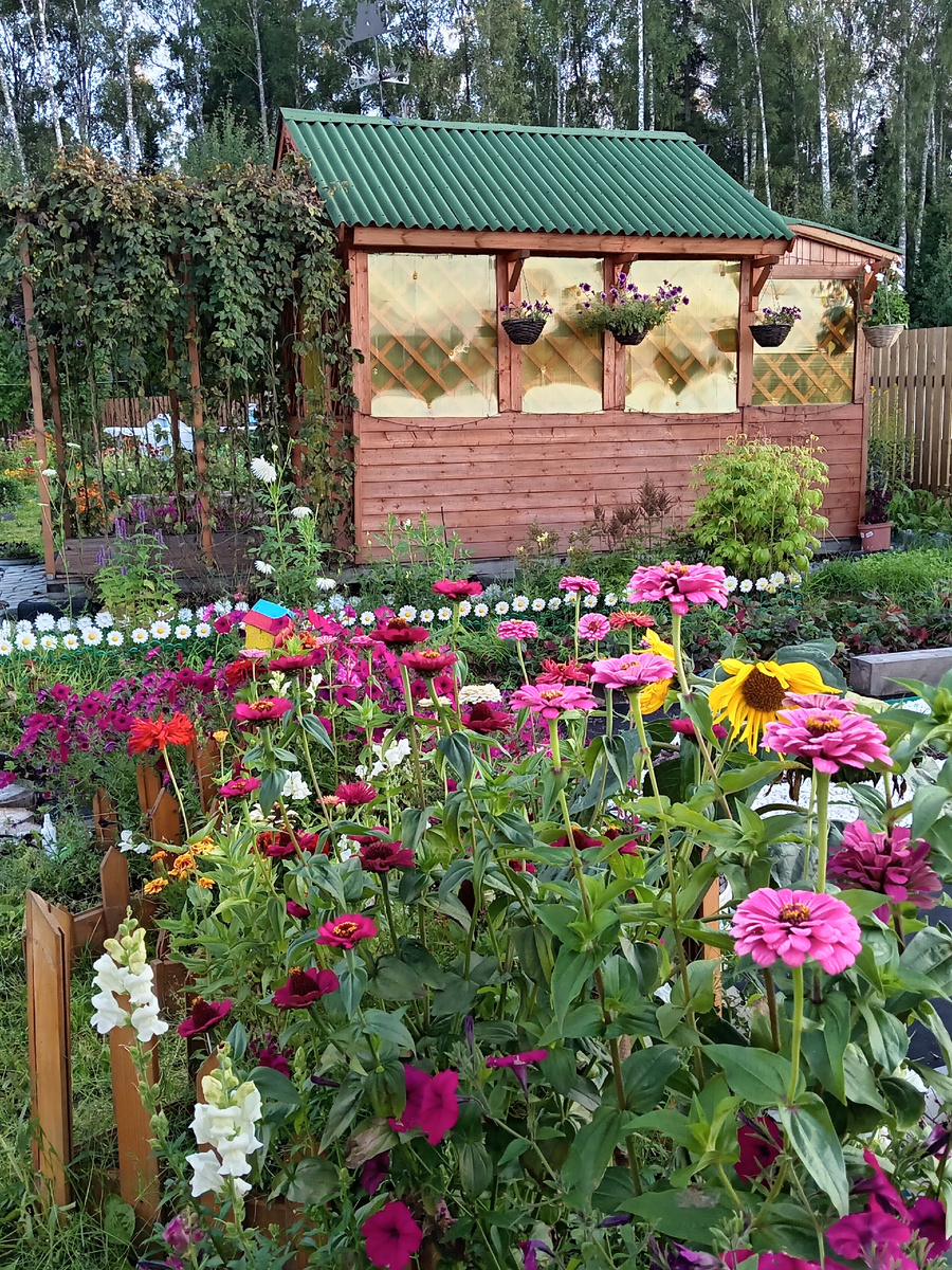 Фото автора.