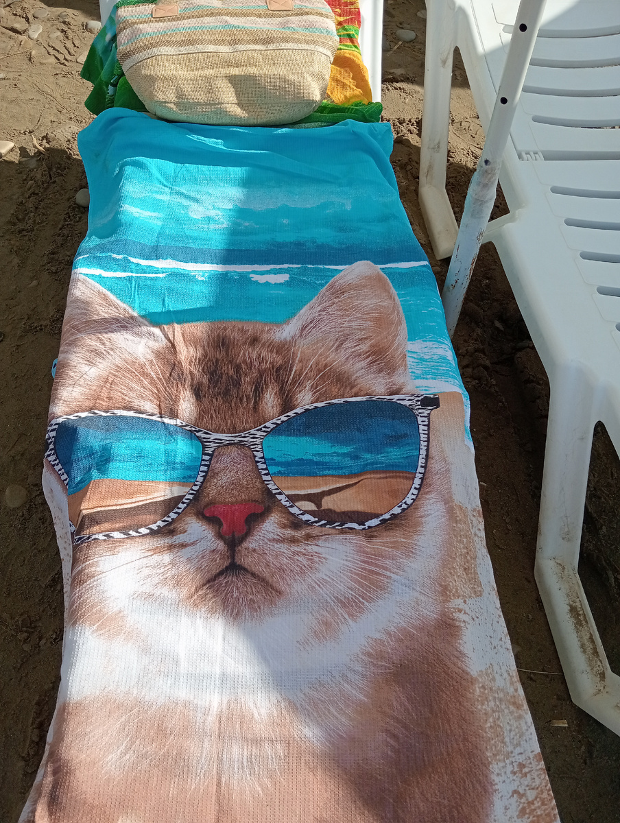 Лежбище котиков!😀