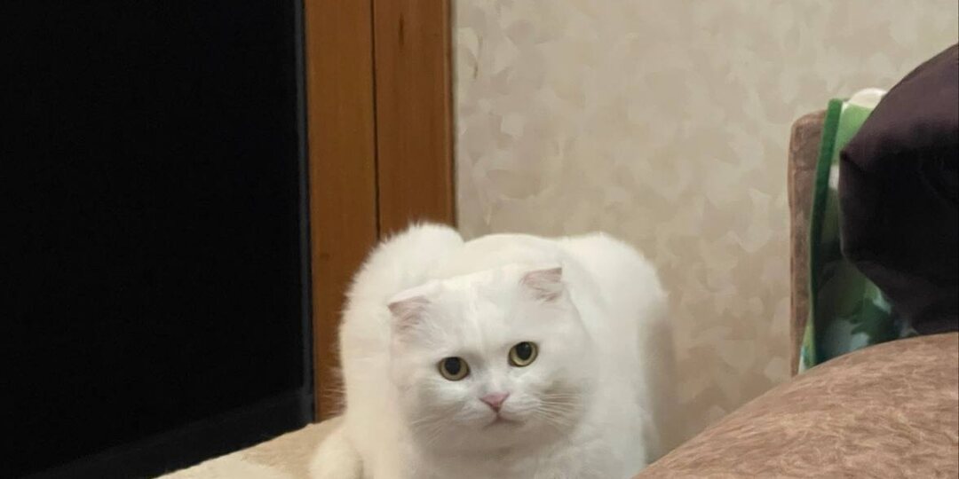 Ну и денёк сегодня