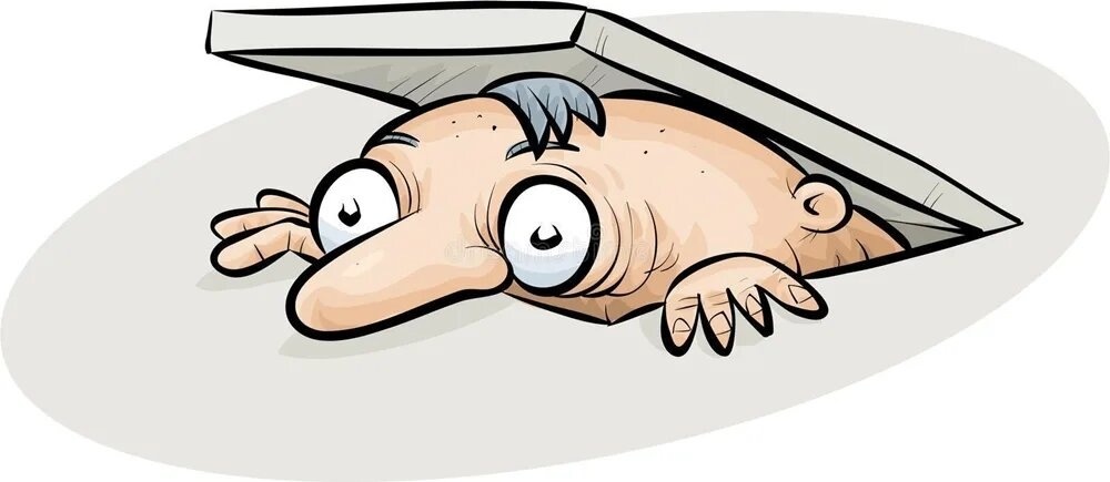 картинка из интернета