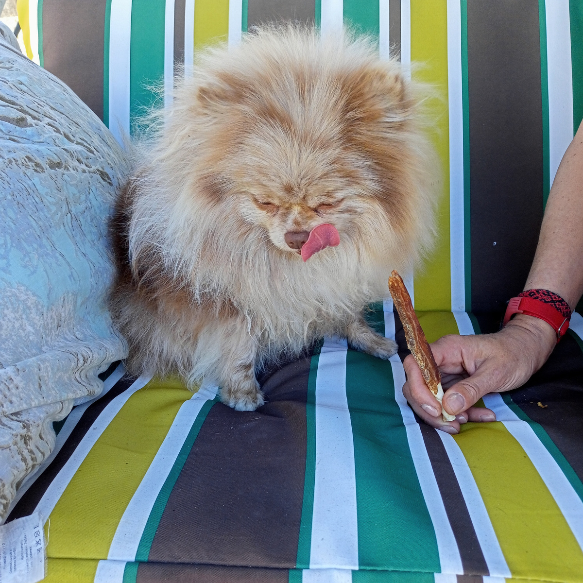 Потом Луна качалась на качелях