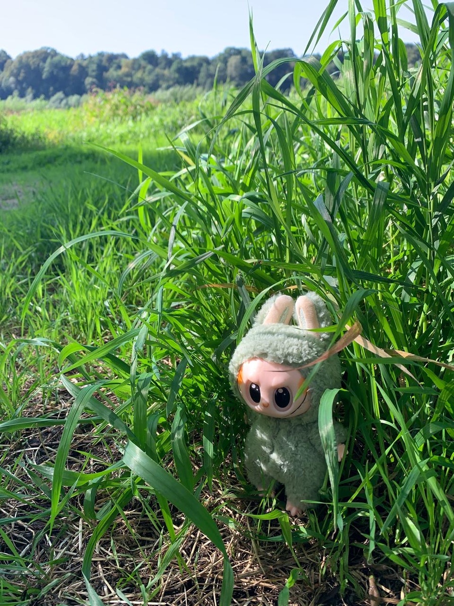 Фото из архива автора