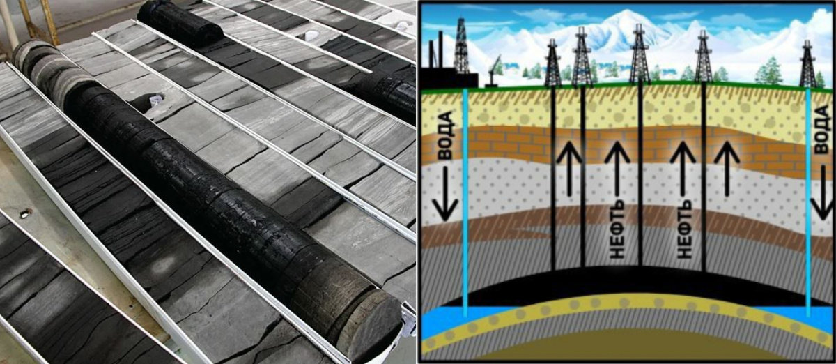 Образец керна (извлеченная порода из скважины) пропитанный нефтью. Залегание нефти в слоях земной коры