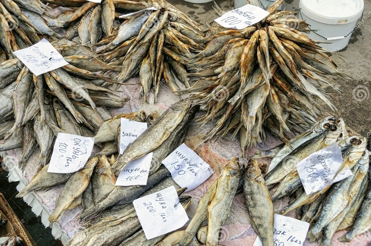 5 САМЫХ НЕЛЕПЫХ ЗАКОНОВ О РЫБАЛКЕ В РОССИИ