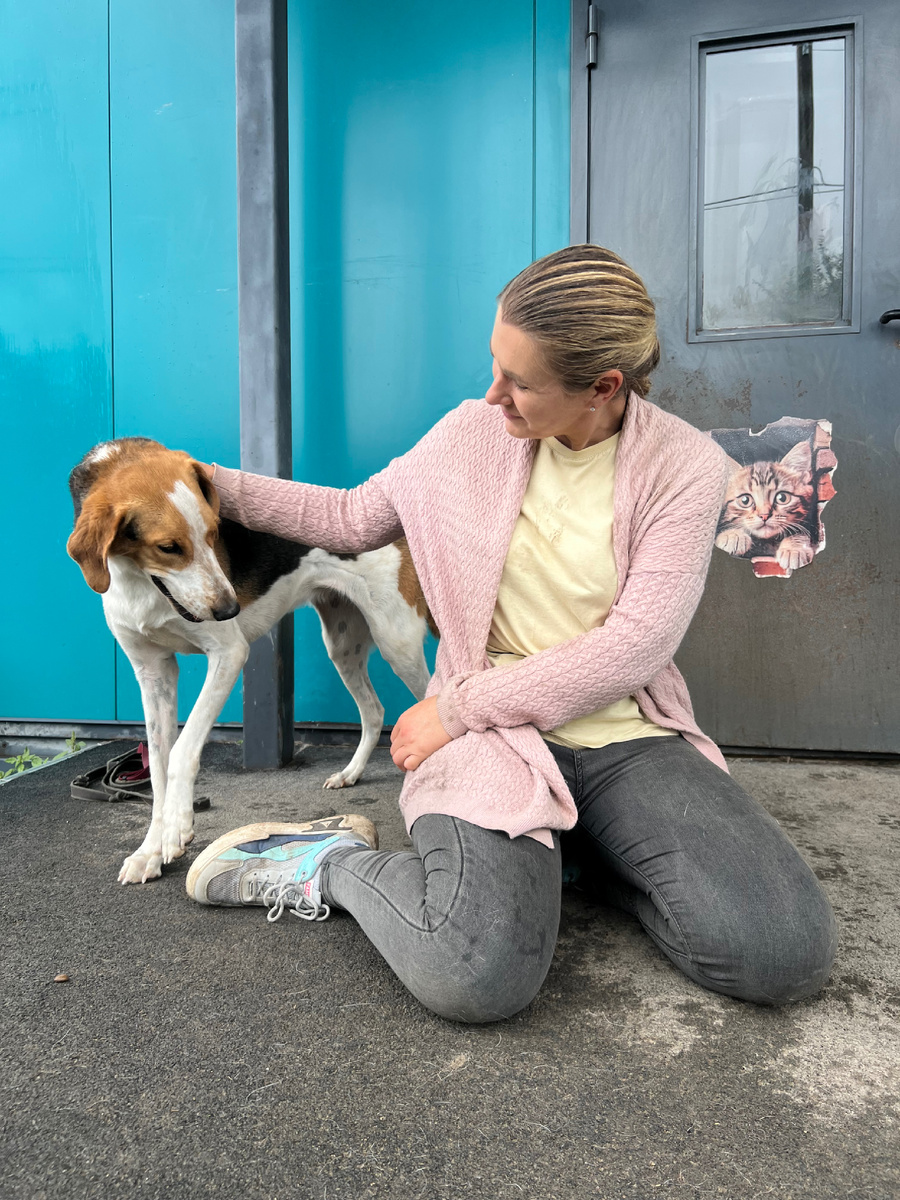 Тёплые деньки заканчиваются. Скоро Лючика начнёт мёрзнуть на прогулках 😔