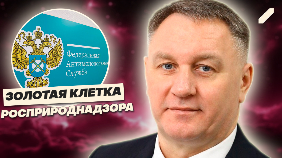 Как чиновник из Новосибирска стал владельцем недвижимости на 373 миллиона рублей — и никто не заметил!