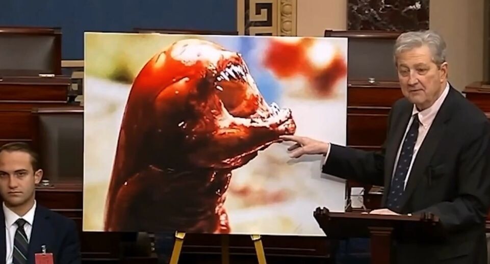    Кадр трансляции выступления Кеннеди-младшего в конгрессе США