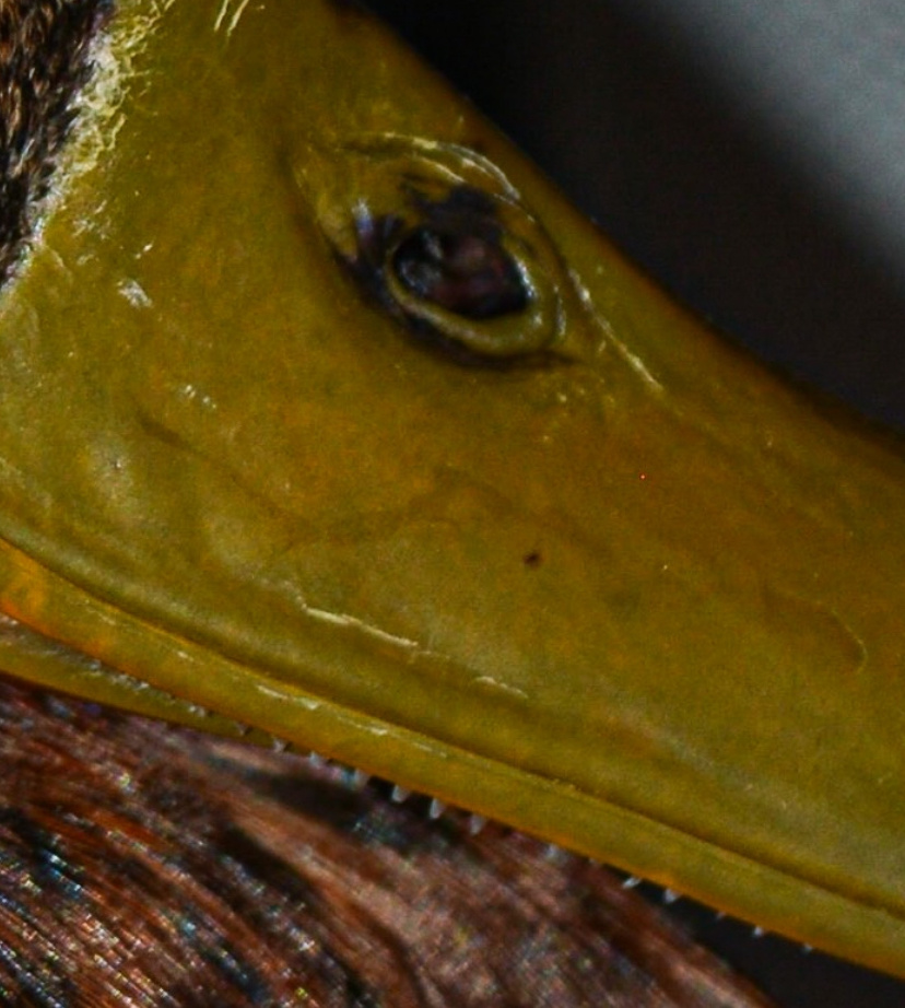 Очень страшно