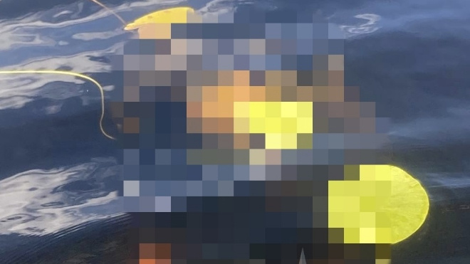 Фото: аварийно-спасательная служба Ленобласти