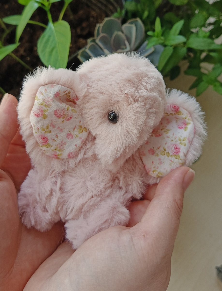 И все примиленькие прихорошенькие