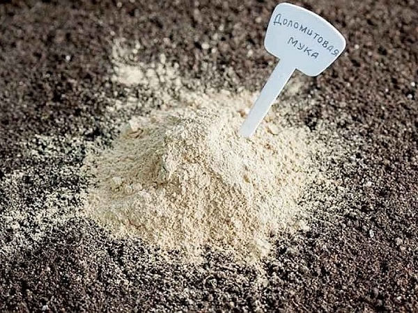 Доломитовая мука осенью