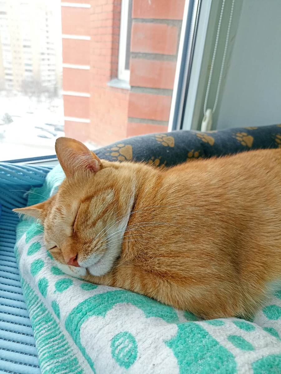 А хочется поспать вот так, сладко посапывая)) 