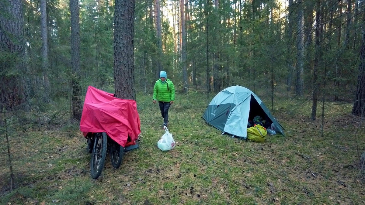Утро в сосновом лесу и новый день велопохода