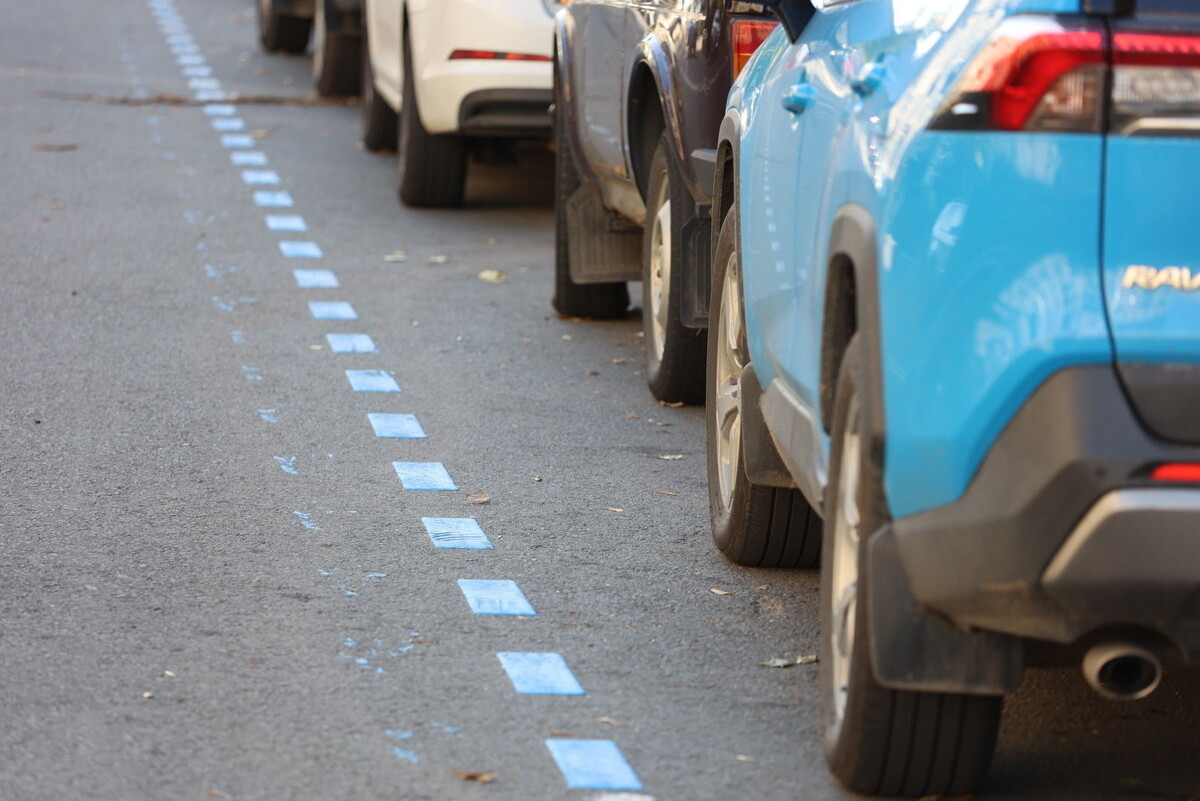 Фото: Дмитрий Фуфаев / «Петербургский дневник»