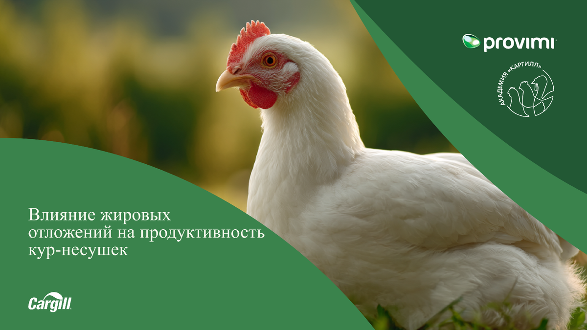 В. А. Афанасенко, технический специалист по птицеводству ООО Провими (Cargill)

