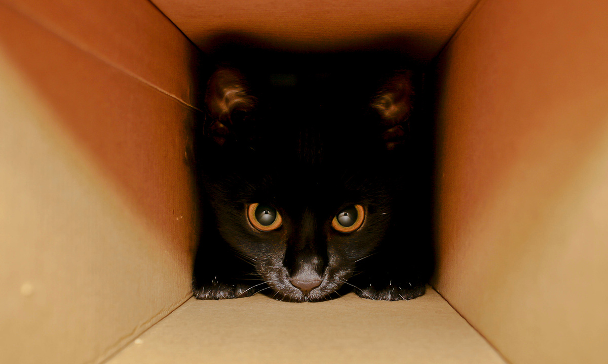 Фото из интернета.