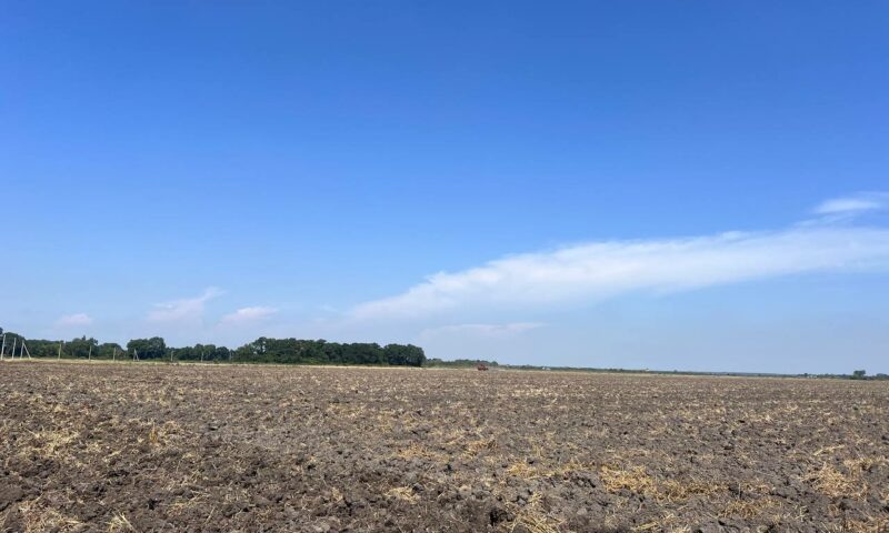    Фото t.me/sergeyi_les