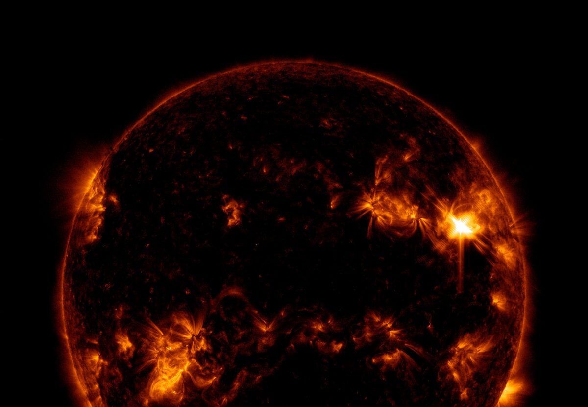     / Источник: © Cover Images/Global Look Press