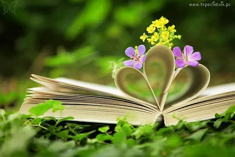 изображение из открытых источников