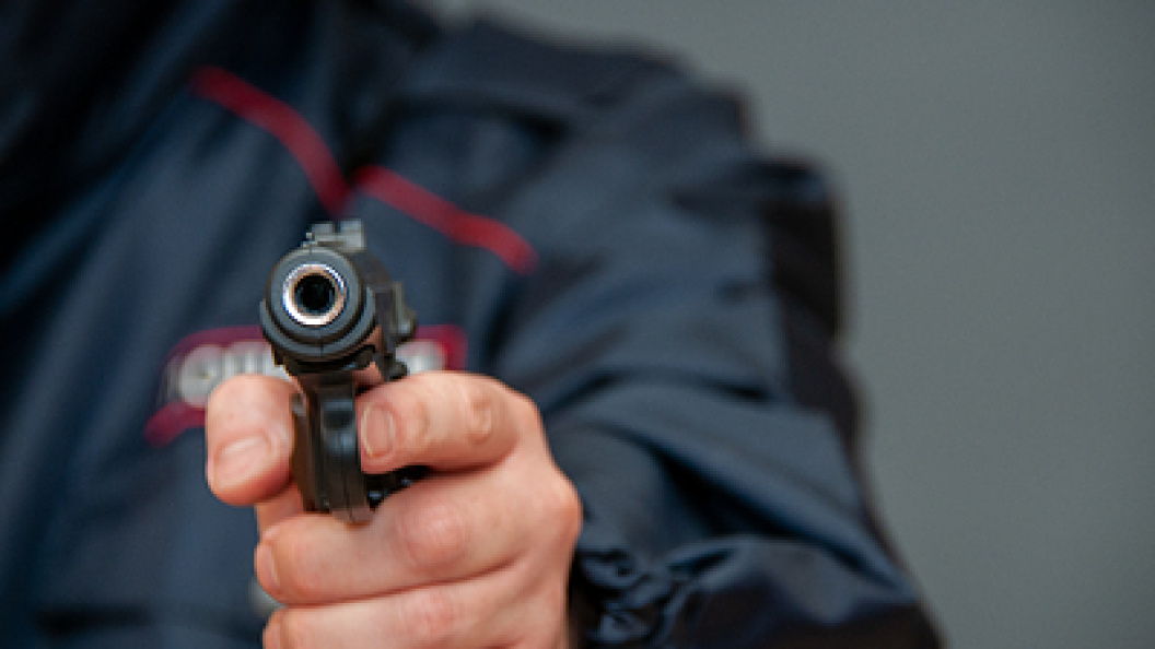    Фото: Svetlana Vozmilova/Globallookpress