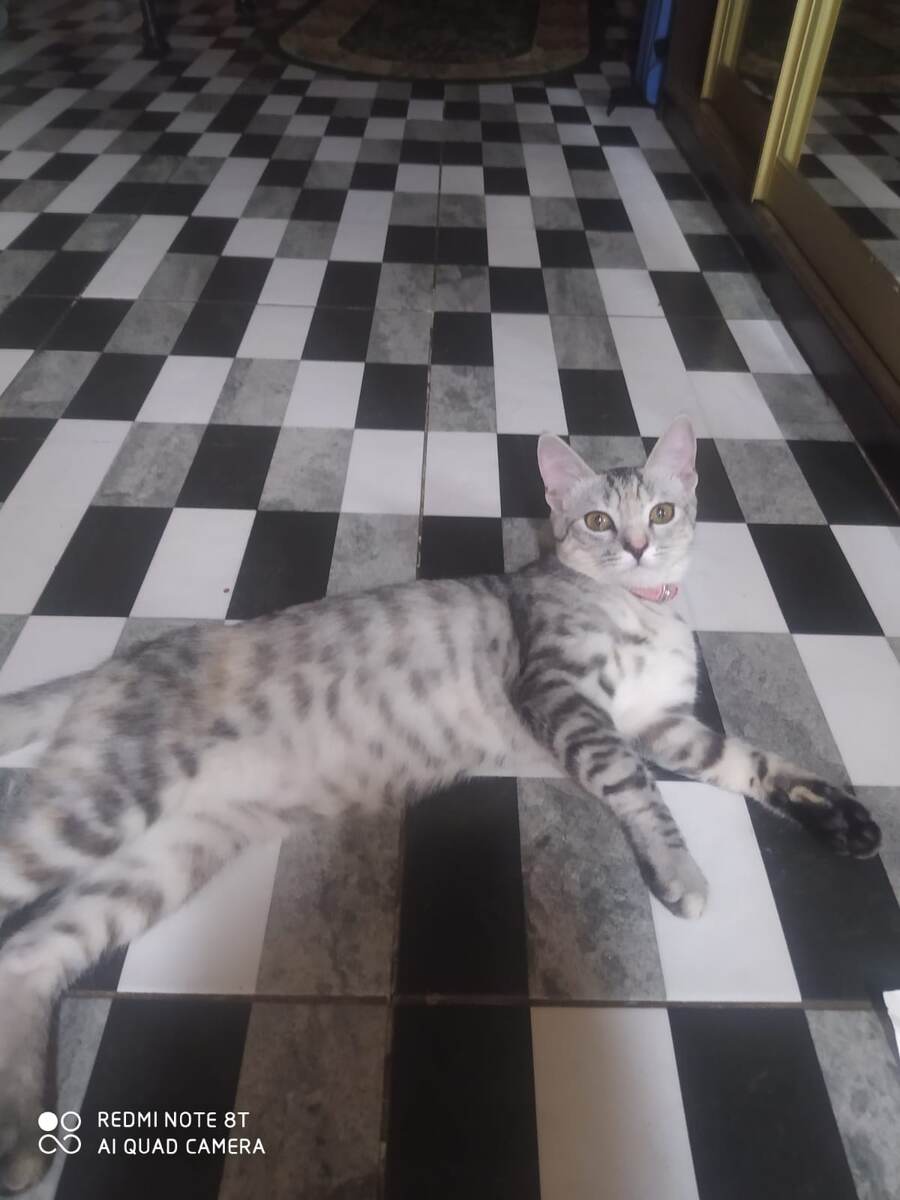 Это кто тут такой красивый?