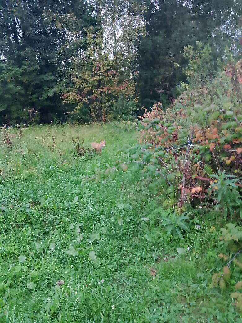 Фото из архива автора 