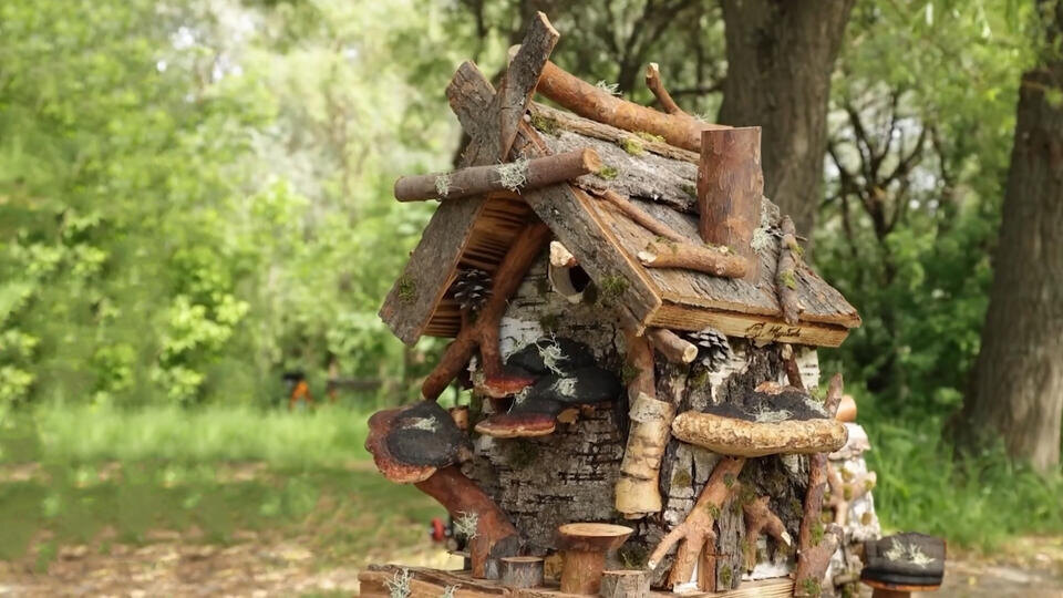 Фото: © Кадр из программы "Купи-продай", РЕН ТВ