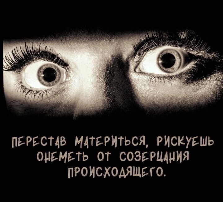 Источник: https://i.pinimg.com/736x/f1/79/de/f179dea2e10a534f38fac98b09af7838.jpg