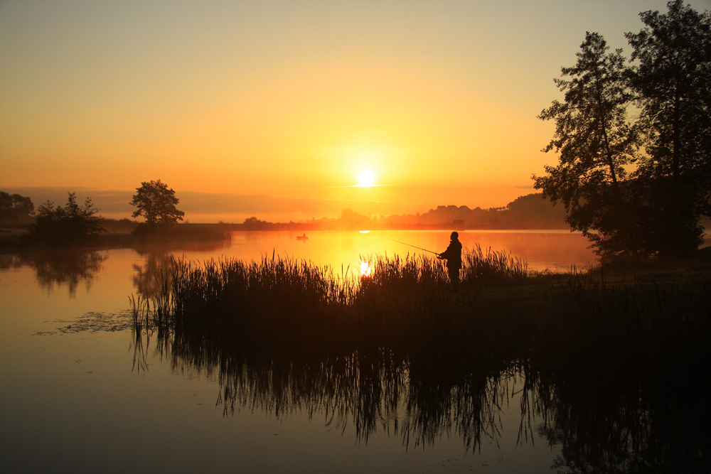 Яндекс Картинки
