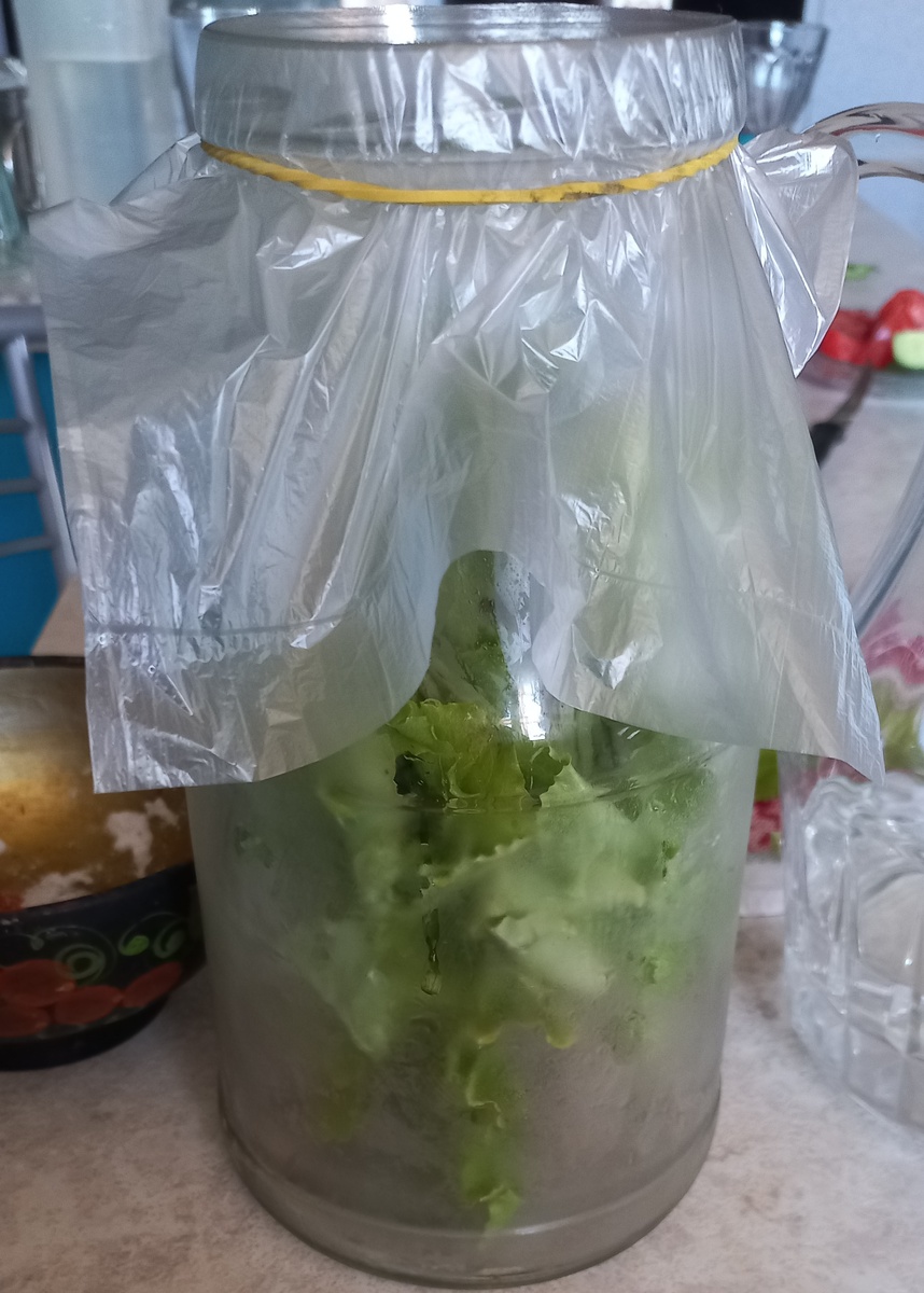 Банка нестандартная-крышки не нашлось 