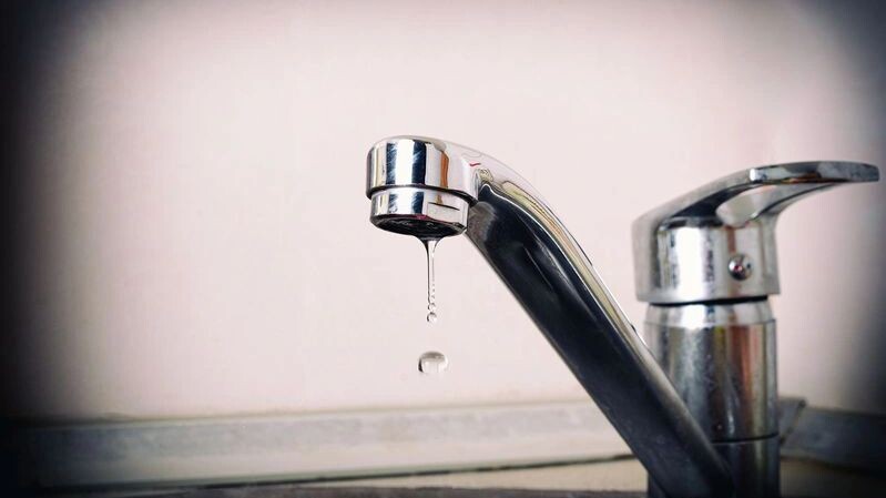    Фото: Dmitro Derevyanko / Shutterstock / Fotodom