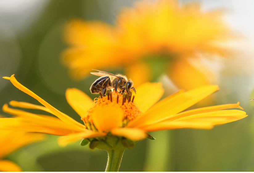 Фотография из открытых источников