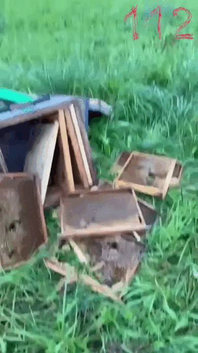    Видео: tg-канал 112