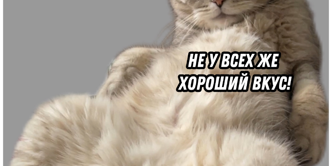 У Марса точно хороший вкус😻