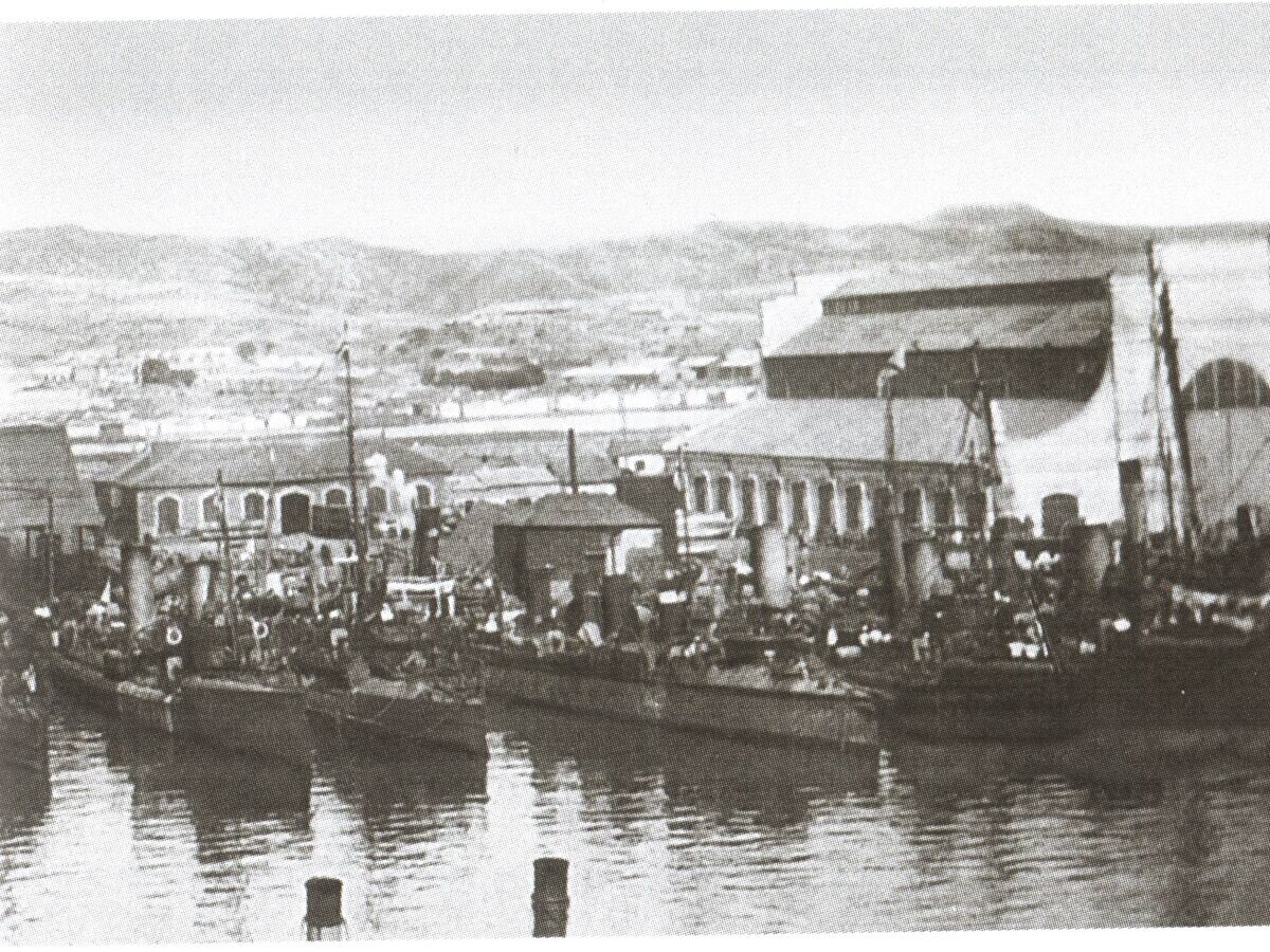    Русские миноносцы в гавани Порт-Артура. 1904 год © Фото : Public domain