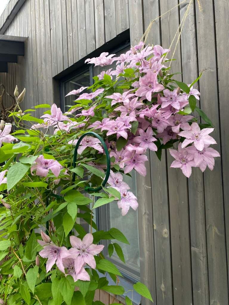    Фото Ларисы Гармаш Валерия Стальная