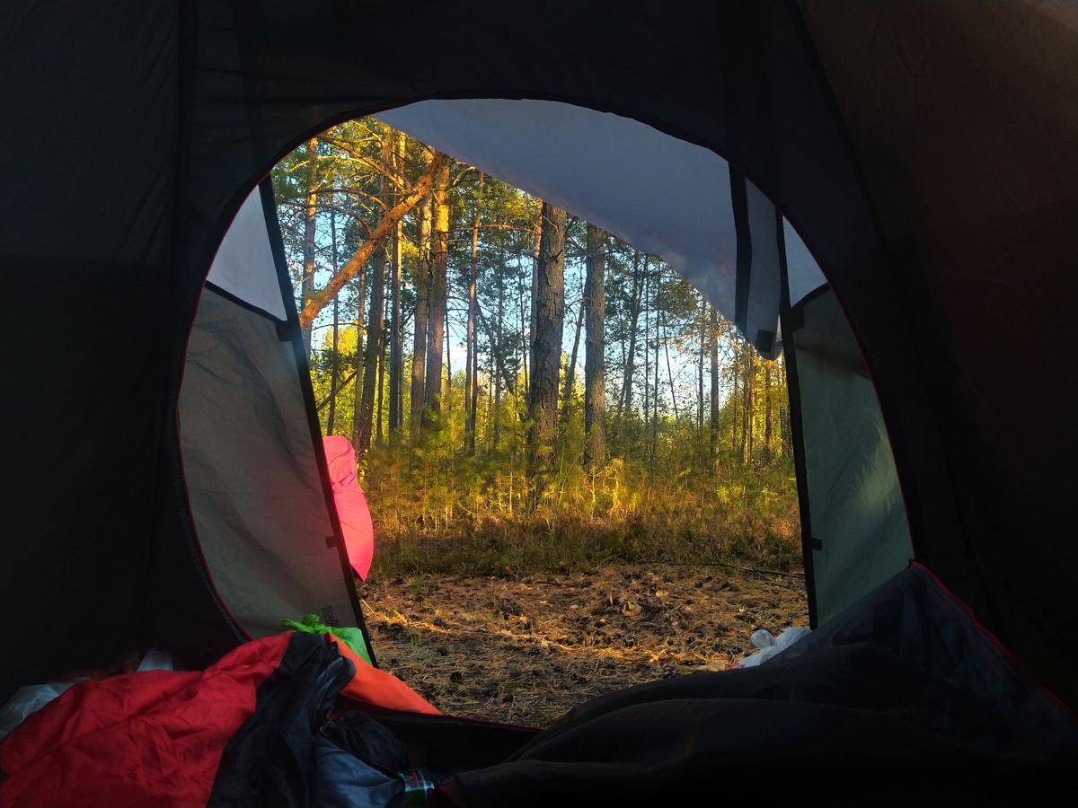 Вид из палатки на место ночёвки