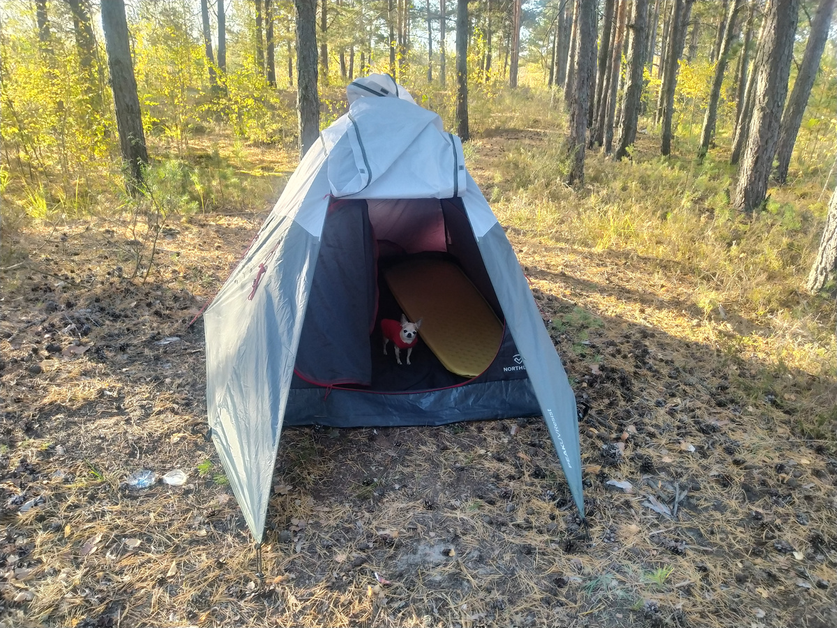 Дуся в палатке