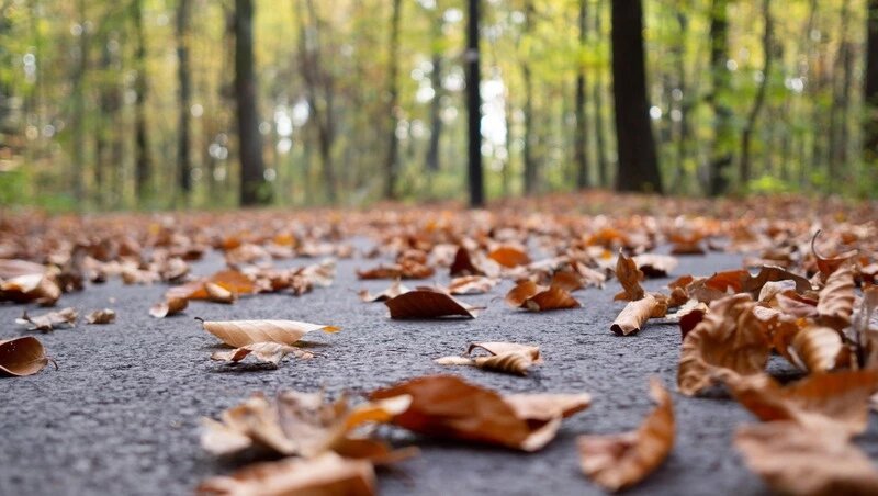     Фото: @wirestock / ru.freepik.com