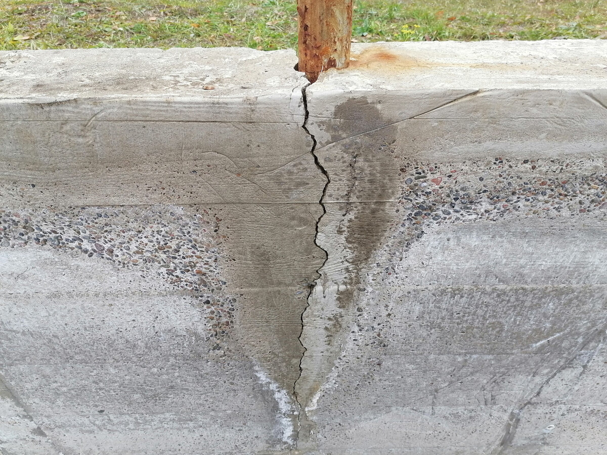 avatars.dzeninfra.ru