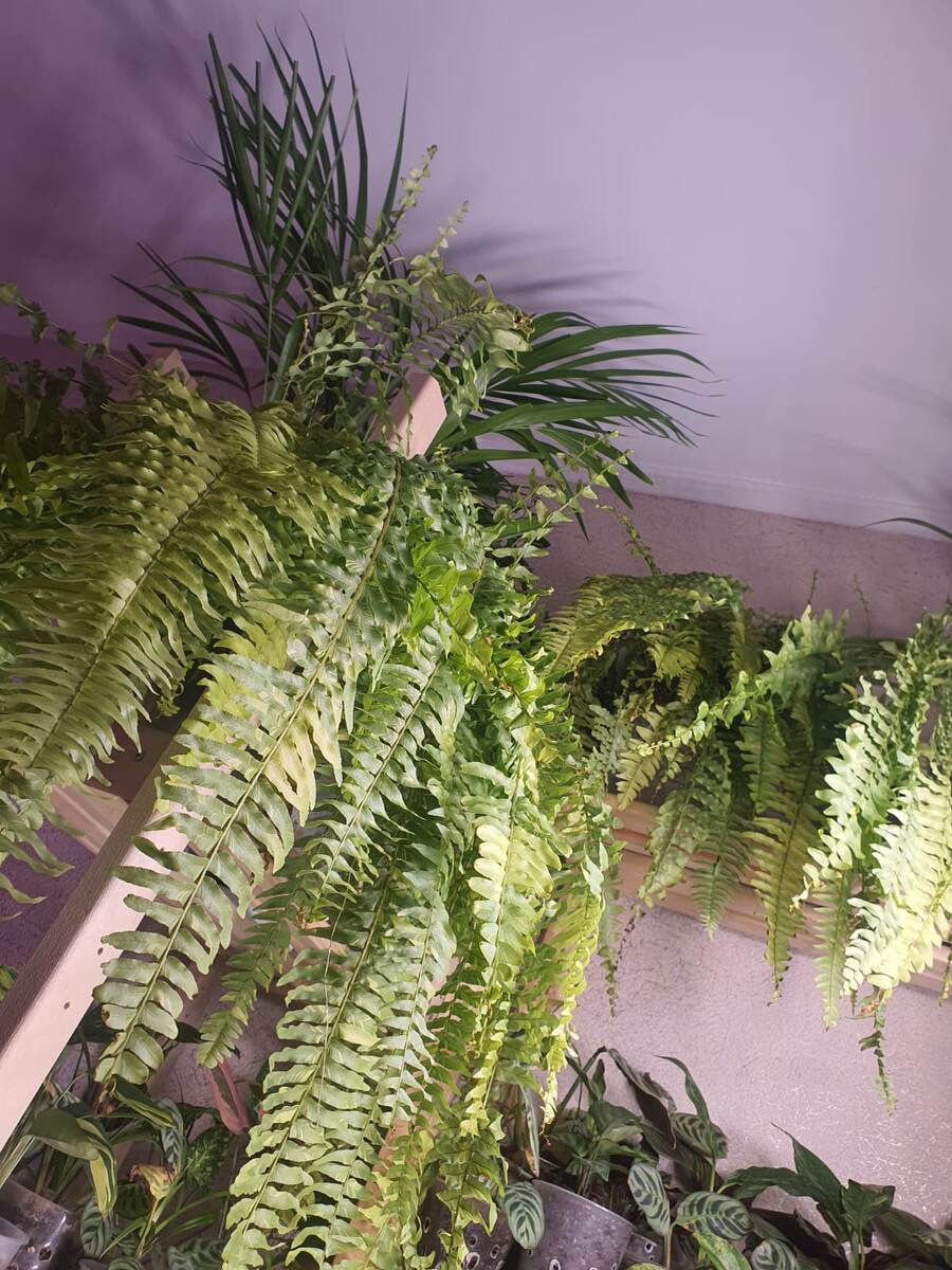 Потолок мешает....