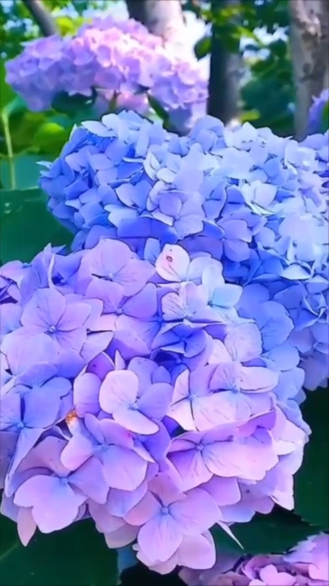 Фотография сделана автором