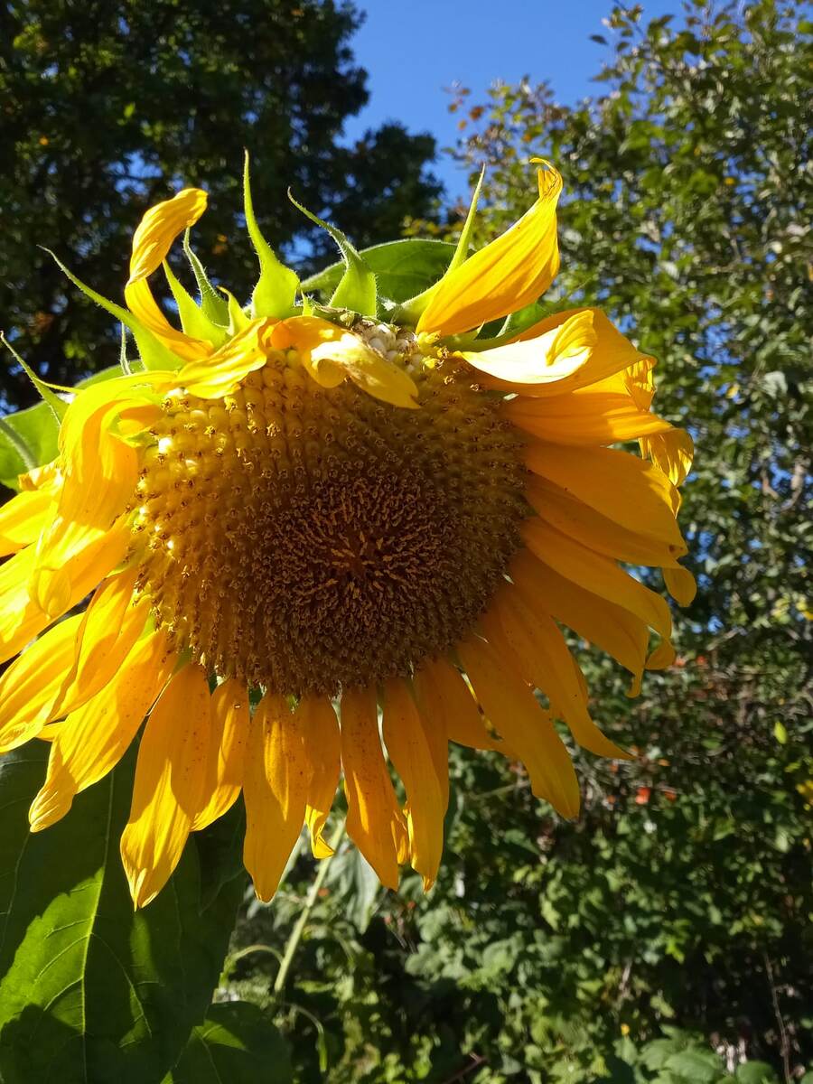 Фотография сделана автором