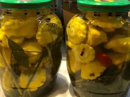 МАРИНОВАННЫЕ ПАТИССОНЫ