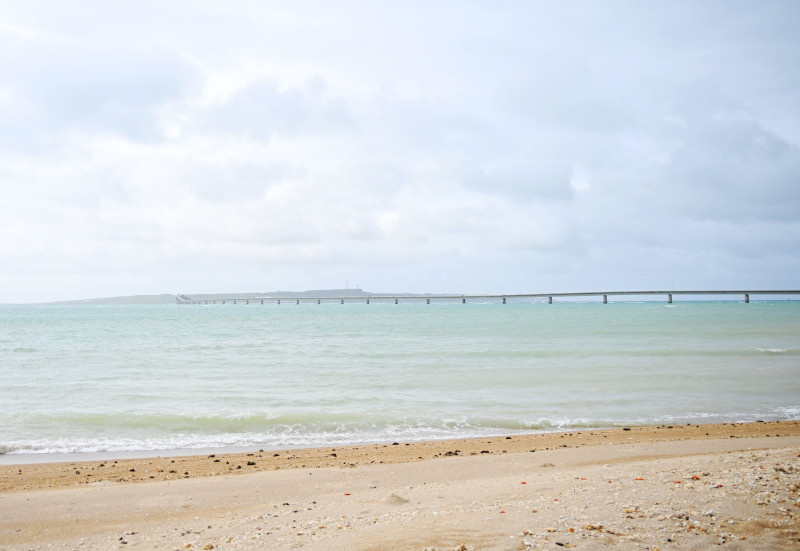    Фото: Cfoto/Globallookpress